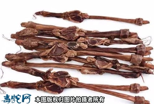 鹿鞭是什么？鹿鞭的功效与作用？