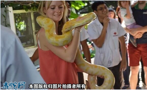 女人蛇图片欣赏、“美与邪”的强烈反差...