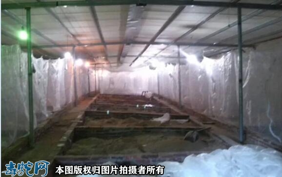 蛇房用什么药消毒？