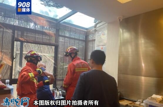 安徽合肥一茶馆发现一条蛇怎么回事？