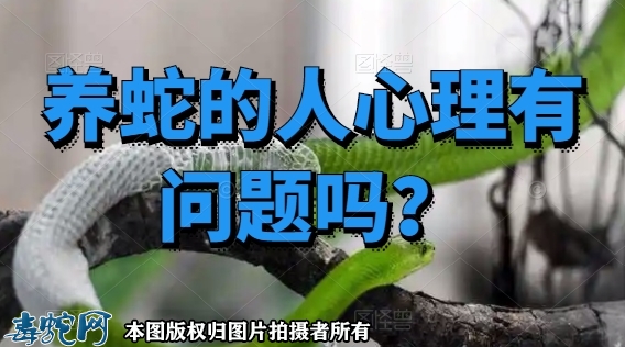 养蛇的人心理有问题吗？