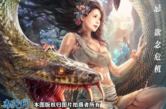 人蛇是什么意思？