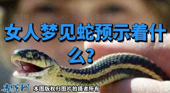 女人梦见蛇预示着什么？