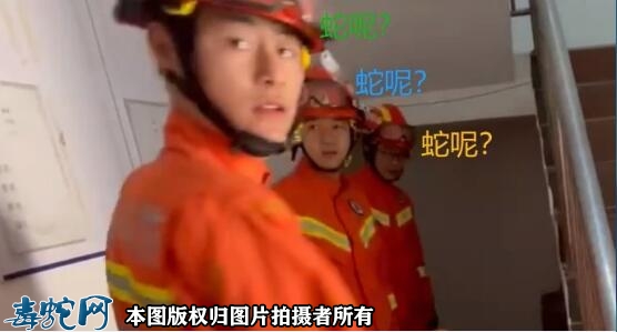 益阳男子报警“我家有条好大的蛇！”！...