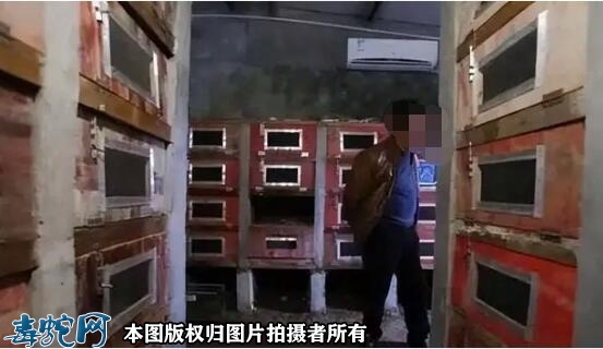 采用立体试养蛇模式用什么材料好？