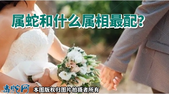 属蛇和什么属相最配？