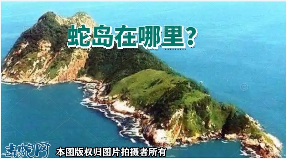 蛇岛在哪里？蛇岛都有什么毒蛇？