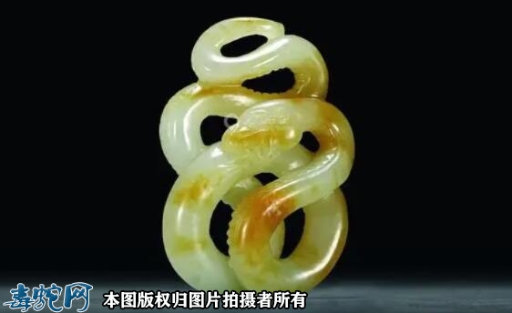蛇的拼音怎么写怎么读？