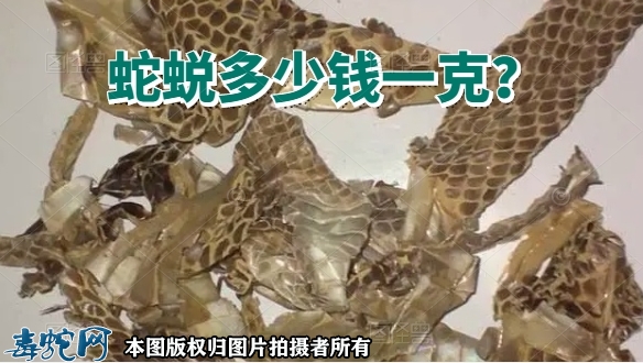 蛇蜕多少钱一克？