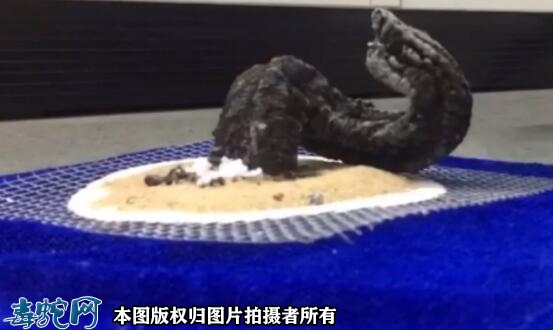 法老之蛇怎么做？