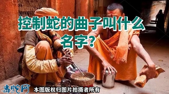 控制蛇的曲子叫什么名字？