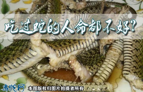吃过蛇的人命都不好？