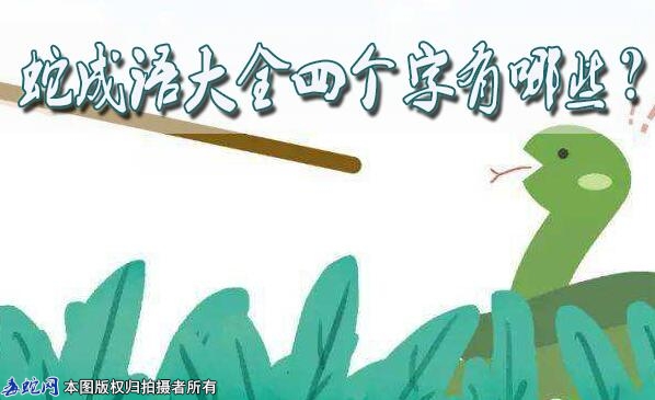 蛇成语大全四个字有哪些？