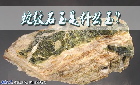蛇纹石玉是什么玉？
