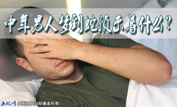 中年男人梦到蛇预示着什么？