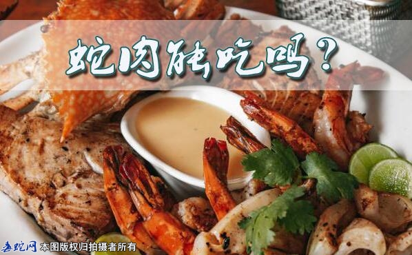 蛇肉能吃吗？