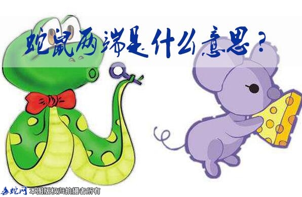 蛇鼠两端是什么意思?