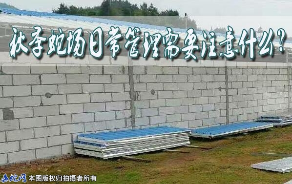 秋季蛇场日常管理需要注意什么？