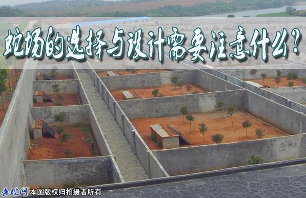 蛇场的选择与设计需要注意什么？