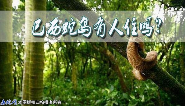 巴西蛇岛有人住吗？