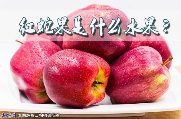 红蛇果是什么水果?