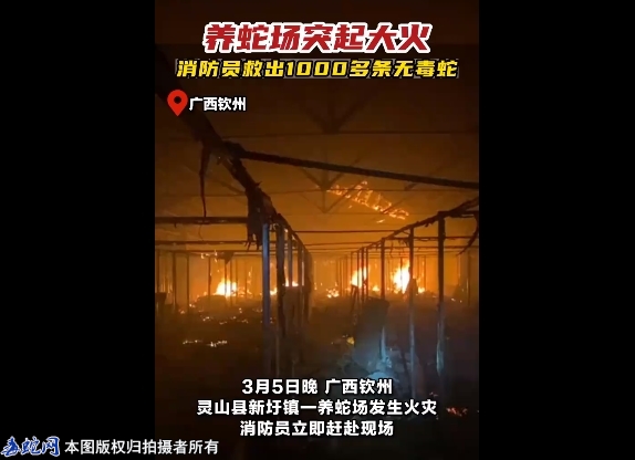 突发！3月5日晚，广西钦州灵山县新圩...