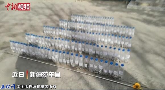 新疆喀什破获首例非法捕猎陆生野生花条...