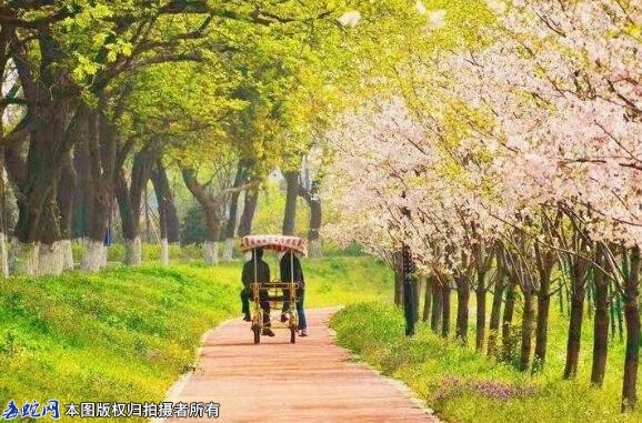 厦门一小伙毒蛇咬后22小时才道实情，...
