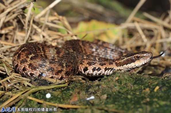 春季踏青需注意！湖南浏阳市民外出踏青...