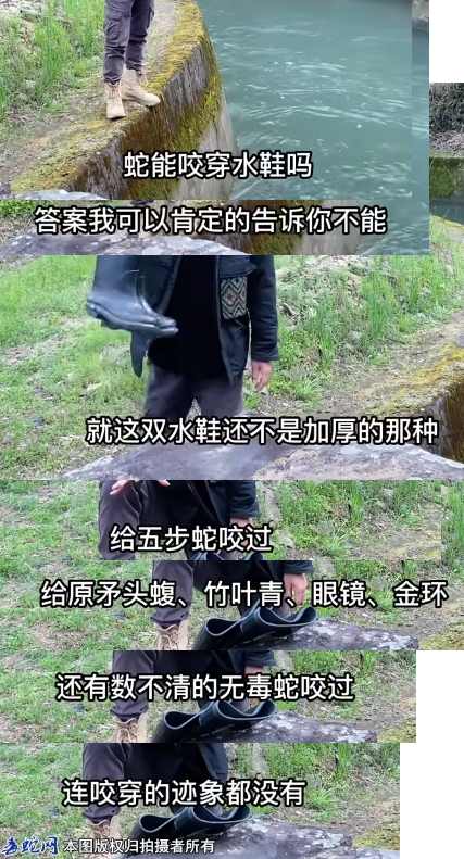穿雨靴到底能不能在山里横着走！毒蛇不...