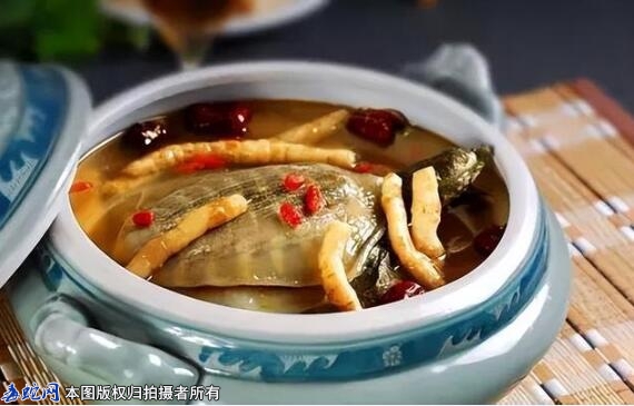 虫草炖甲鱼做法 - 功效补肾固精