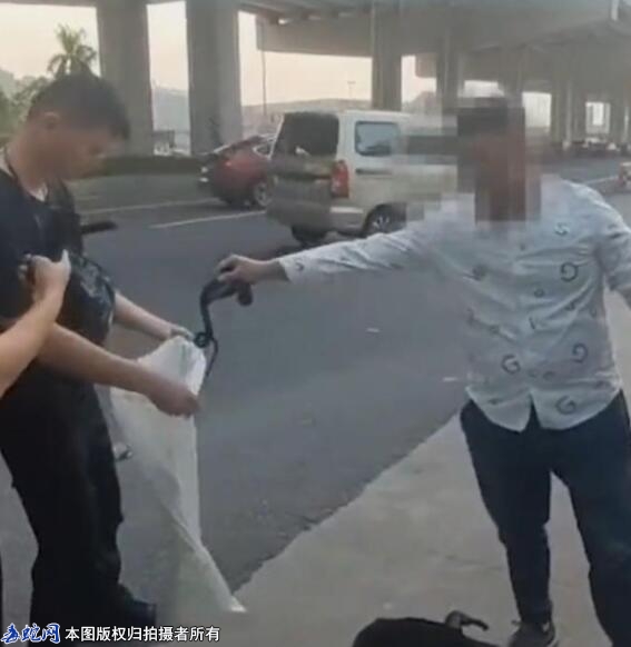 珠海高新街头惊现“捕蛇人”徒手抓毒蛇...