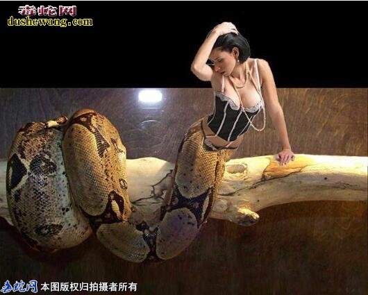 属蛇人运势-现在属蛇人运程运势