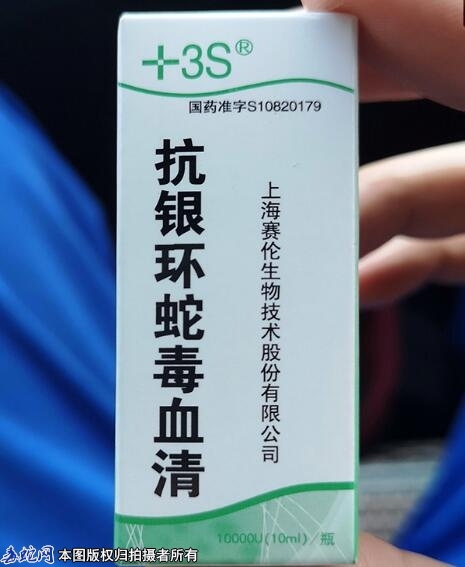 银环蛇血清