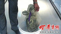 男子商场放6条毒蛇 称“拿人钱财替人...