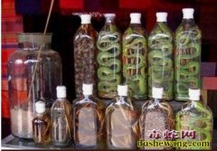 毒蛇泡酒3个月突然蹿出咬伤农妇手指