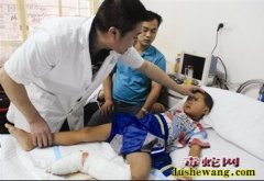 湖北男孩被毒蛇咬伤 坐火车来温求救