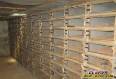 抽屉式蛇窝建造及安装