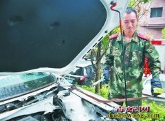 毒蛇钻进引擎盖 拆掉半个车头抓住它