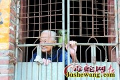 毒蛇不该是想养就能养