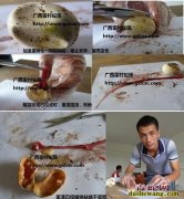 如何鉴别健康的种蛇蛋