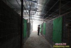养蛇技术培训视频雏蛇养殖