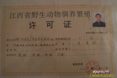 养蛇怎么办证，野生动物繁育技术方案