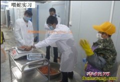 山东养蛇技术培训  山东养蛇场