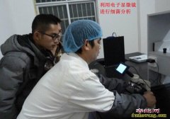 夏季养蛇应注意蛇房降温