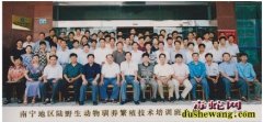 西安哪里有养蛇技术培训的地方