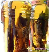 早市叫卖泡酒毒蛇，这能行吗？