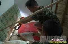 毒蛇窜进遂宁小区保安室 保安求助消防...