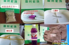 广东毒蛇咬伤治疗蛇伤医院