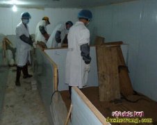 如何养殖眼镜蛇